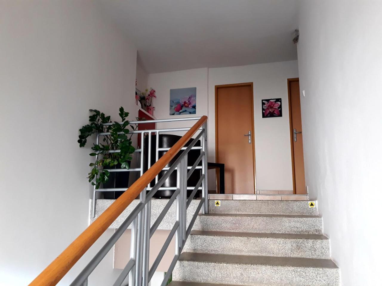 Penzion Fox Nemšová Dış mekan fotoğraf